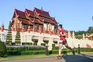 BIB: 
                            <button type="button" onclick="openModal(22455809)" class="btn btn-primary btn-sm float-right btn-popup" data-toggle="modal" data-target=".modal-high-quality">
                        <i class="fas fa-shopping-cart"></i> Add to Cart
                    </button>
                                            <button type="button" onclick="isThisMe(22455809, true)" class="btn btn-success btn-sm float-right btn-popup btn-isme hidden" data-toggle="tooltip" data-placement="bottom" title="นี่คือรูปของคุณใช่ไหม คลิกที่นี่เพื่อเอาเข้าอัลบั้ม">
                        <i class="fas fa-plus"></i> Add to album
                    </button>
                    <button type="button" onclick="isThisMe(22455809, false)" class="btn btn-warning btn-sm float-right btn-popup btn-isnotme hidden">
                        <i class="fas fa-ban"></i> Remove from album
                    </button>